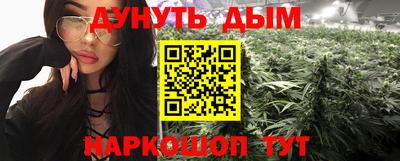 МДПВ Новозыбков