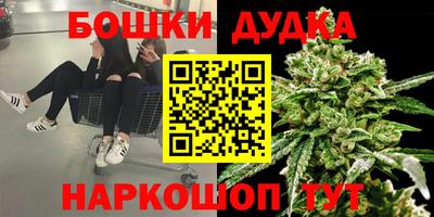 каннабис Новокубанск